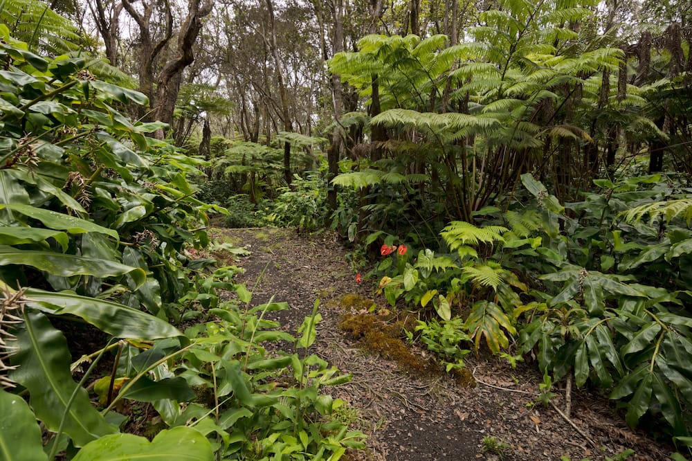ハレオフ ベッド アンド ブレックファースト 写真