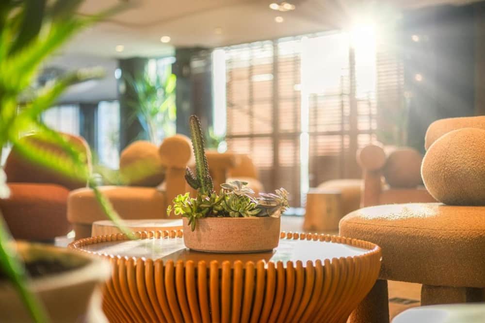 ホライゾン レッドシー 写真