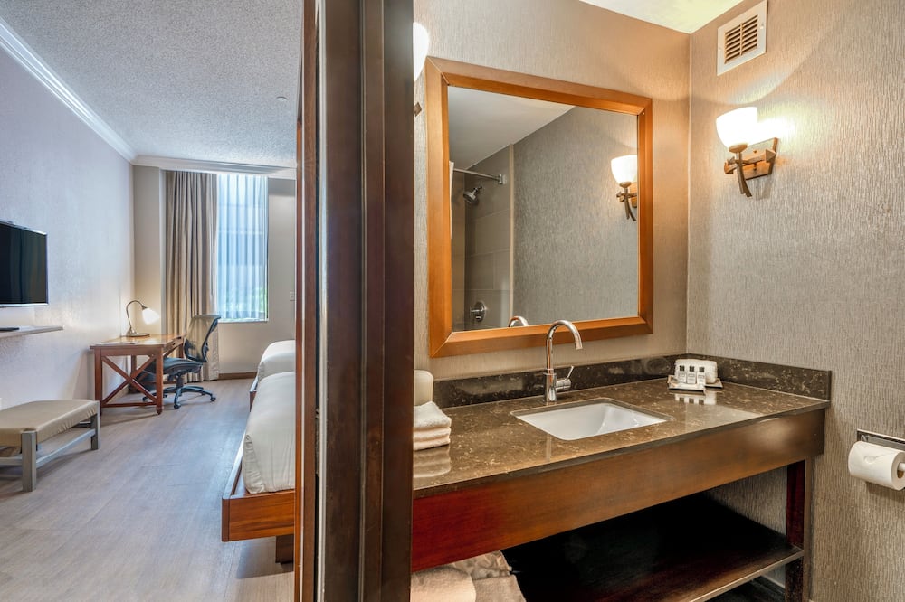 Wyndham Garden New Orleans Downtown 写真