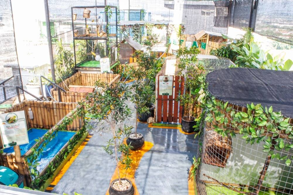 ホテル フォルトゥナグランデ ジェンベル 写真