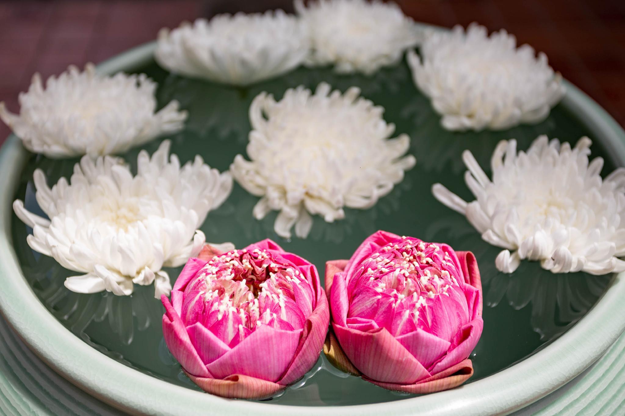 リムピン ビレッジ ホテル 写真