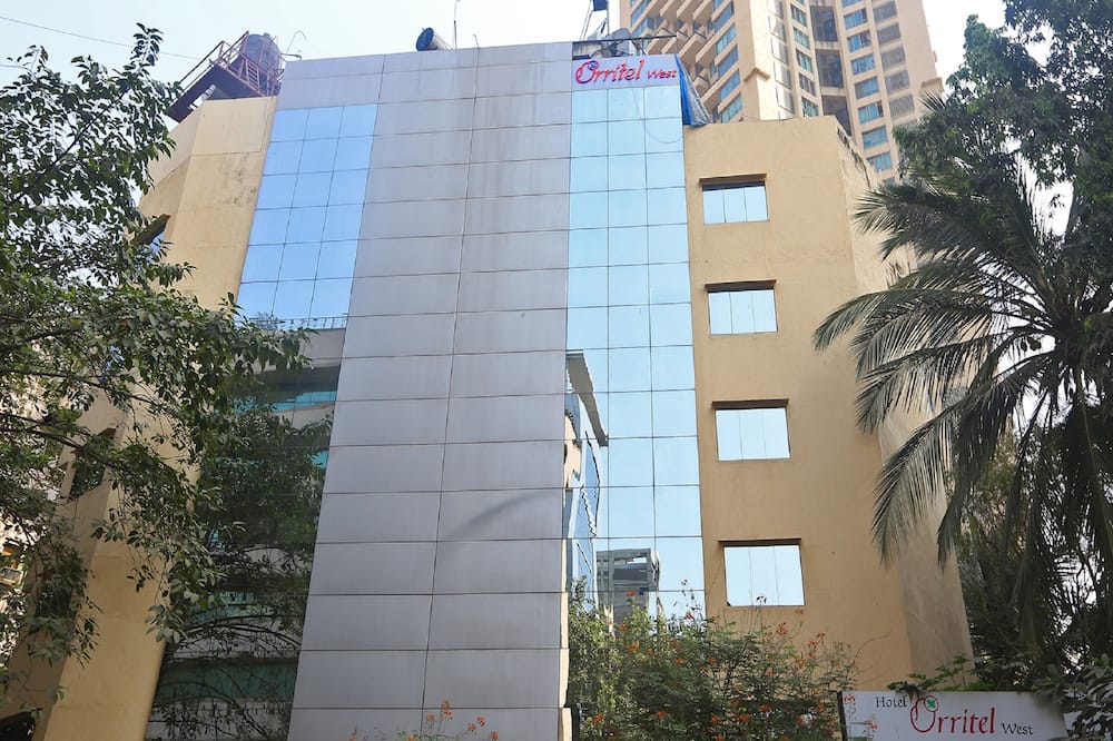 オリッテル ウエスト 写真