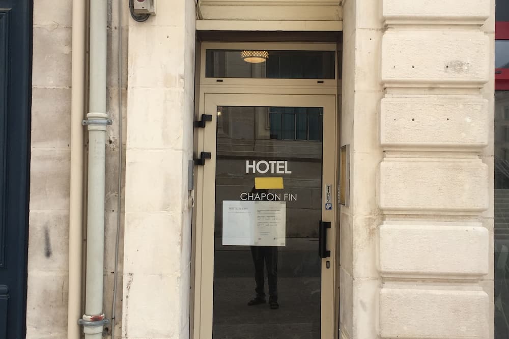 オウ シャポン フィン 写真