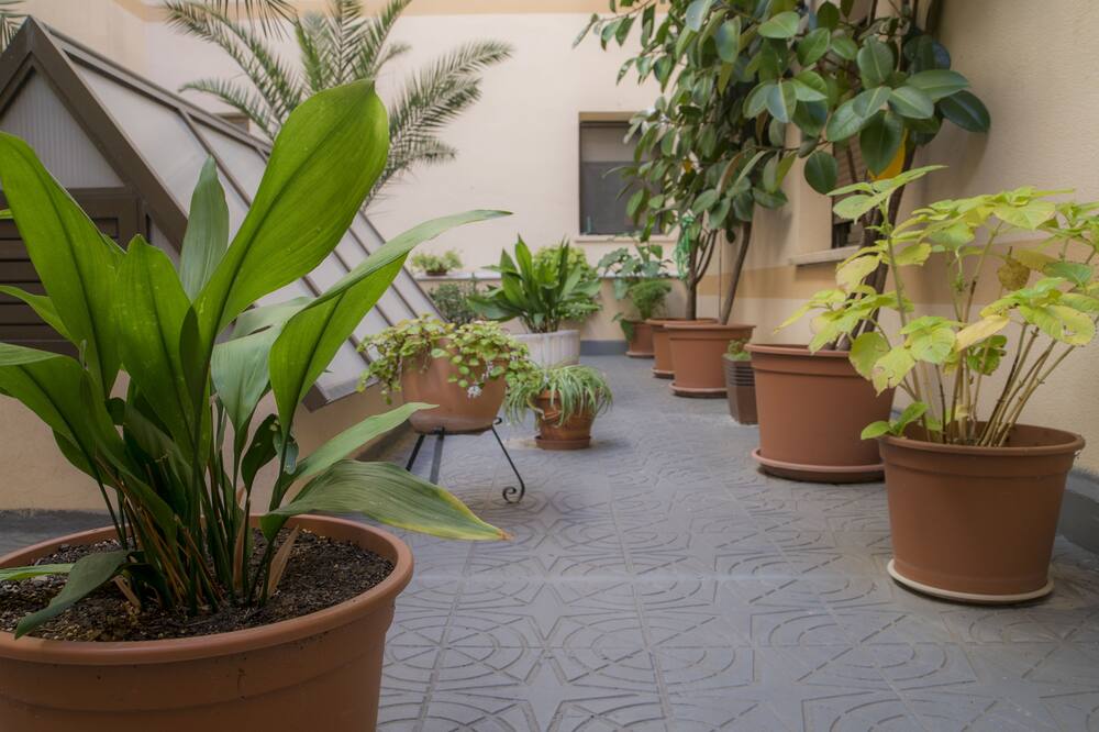 Hotel Zentral Mayoral 写真