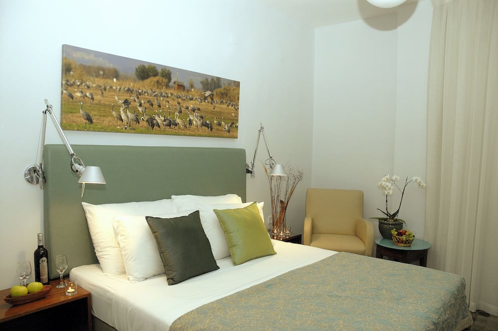 プリマ ガリル 写真