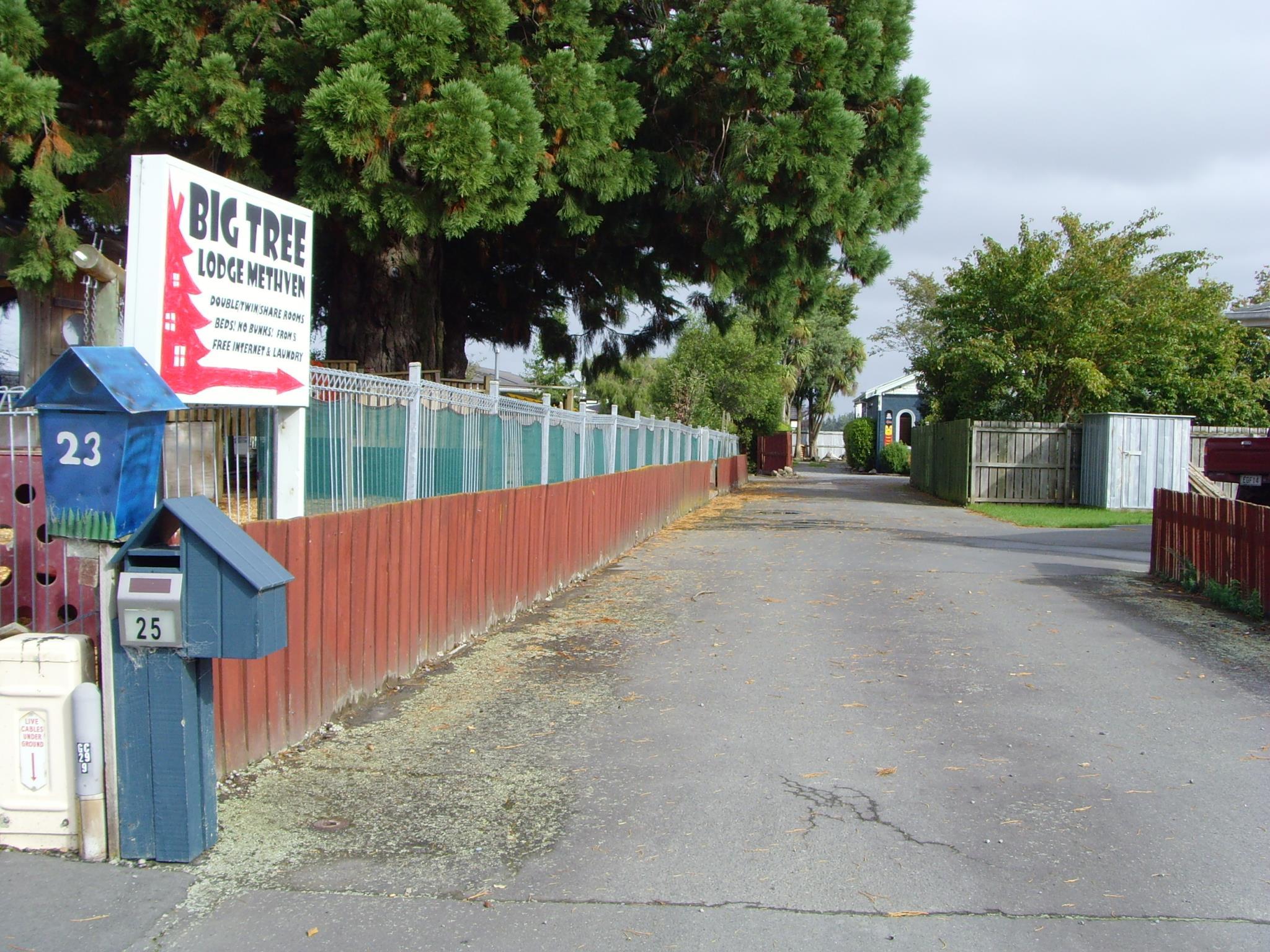 ビッグ ツリー ロッジ 写真