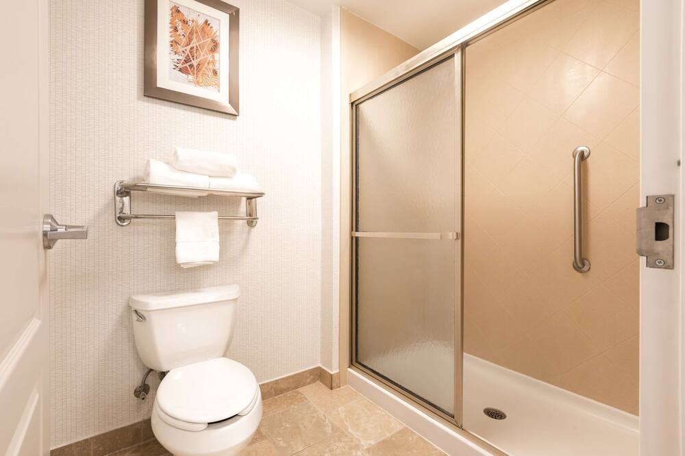 ホームウッド スイーツ バイ ヒルトン グリーンビル 写真