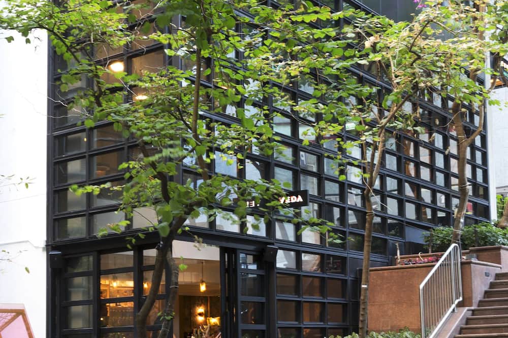 オボロ セントラル 写真