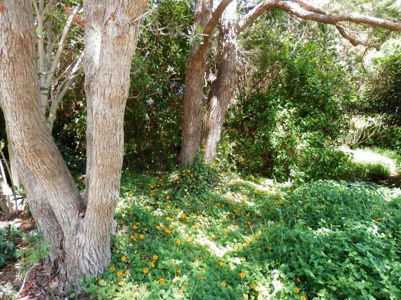 ザ ハイダウェイ B&B リトリート 写真