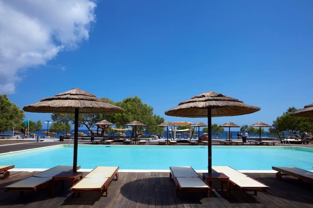 ブラック ローズ スイーツ 写真