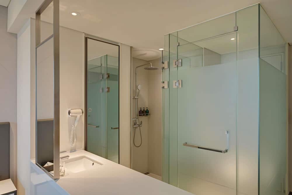 イビス スタイルズ アンバサダー ソウル ヨンサン 写真