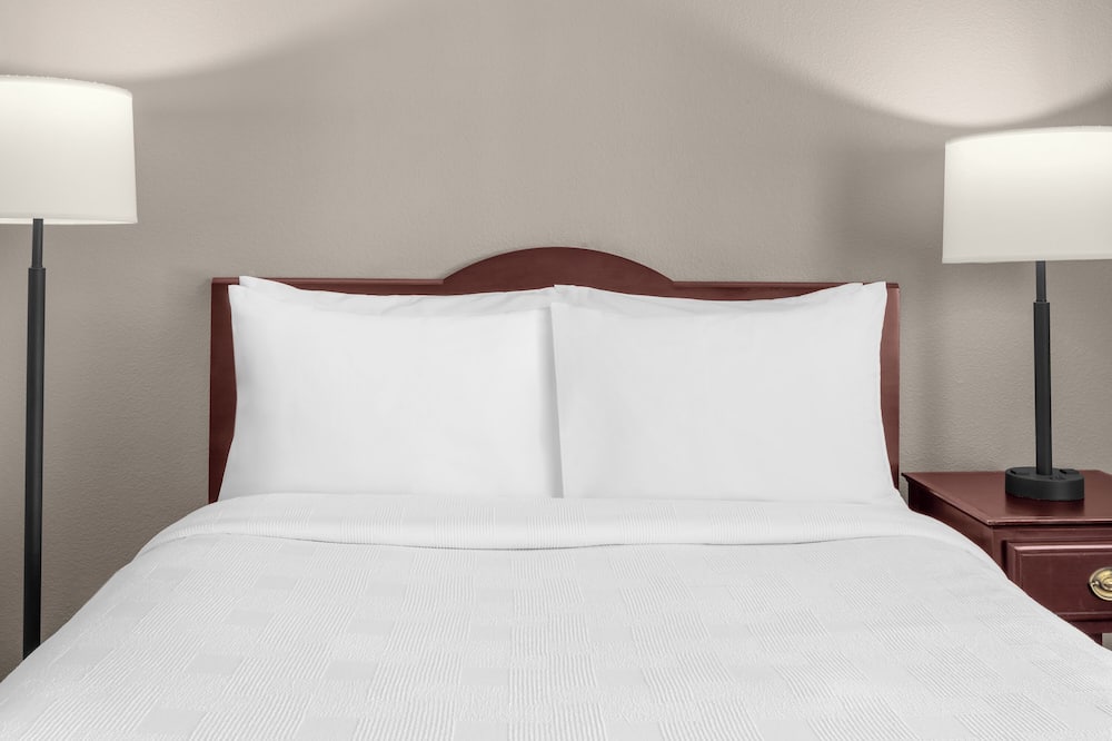 ラークスパー ランディング エクステンデッド ステイ スイーツ ミルピタス 写真