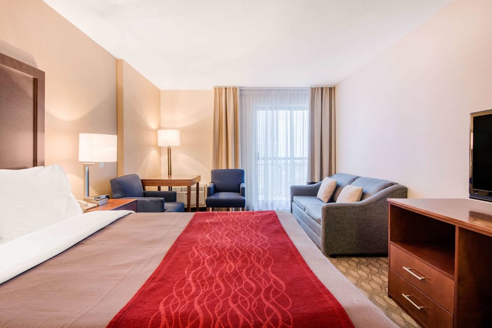 コンフォート イン フォールスビュー 写真