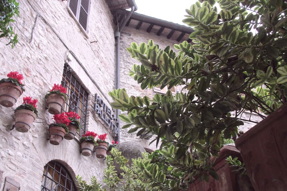 ホテル パロッタ アッシジ 写真