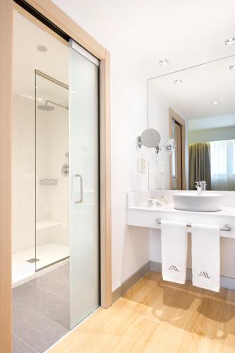 Hotel Sercotel Ciudad de Miranda 写真