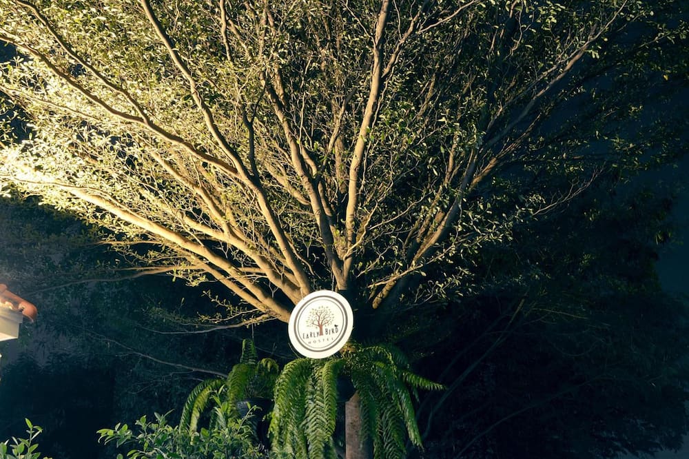 アーリー バード ホステル アユタヤ 写真