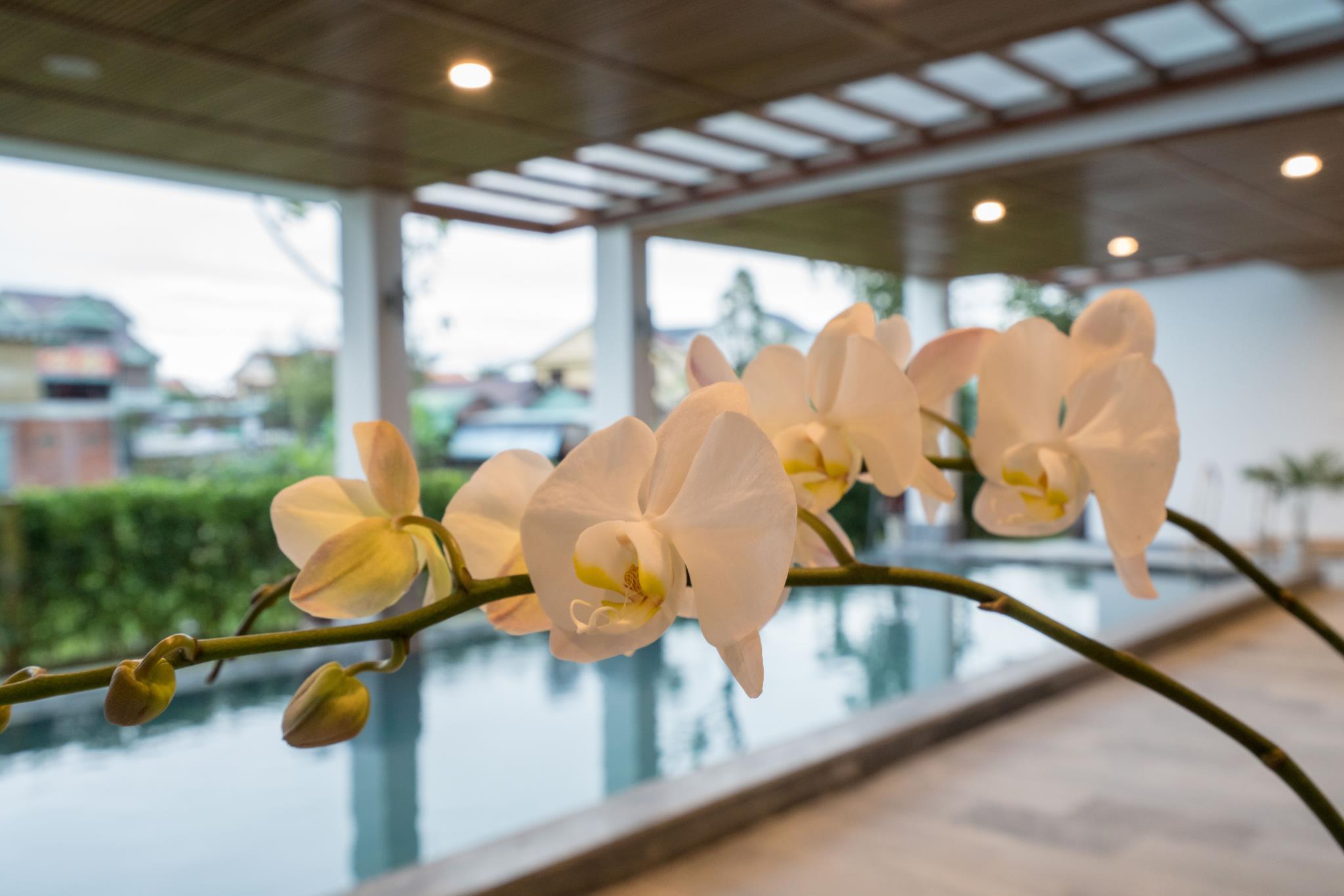 ゼン ブティック ヴィラ ホイアン 写真