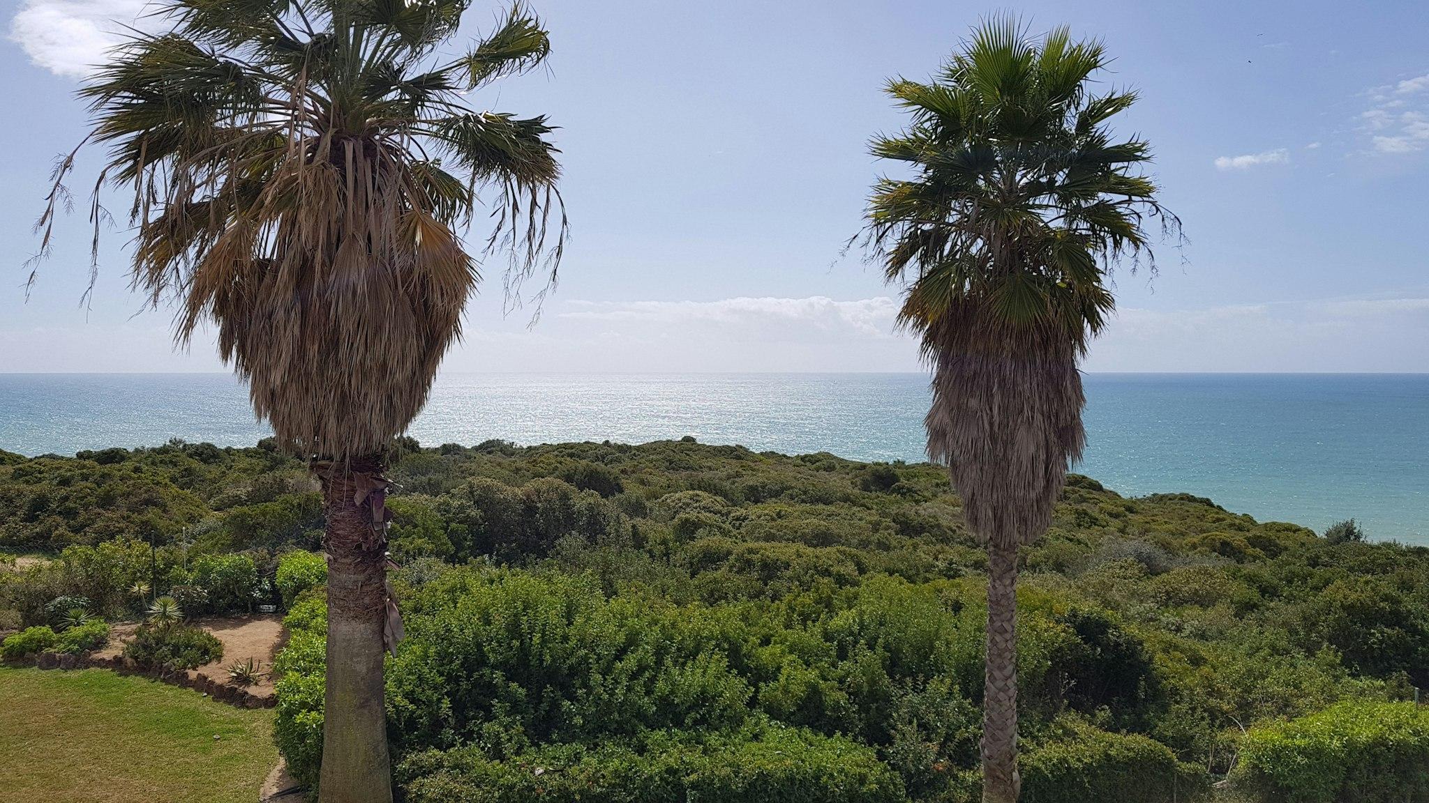 Pestana Palm Gardens 写真