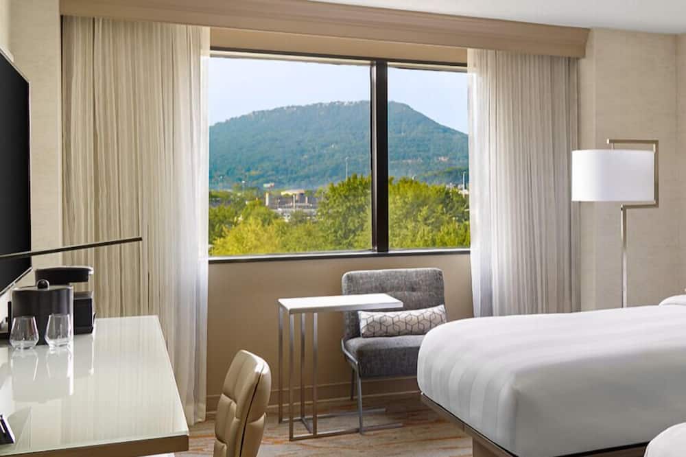 チャタヌーガ マリオット ダウンタウン 写真