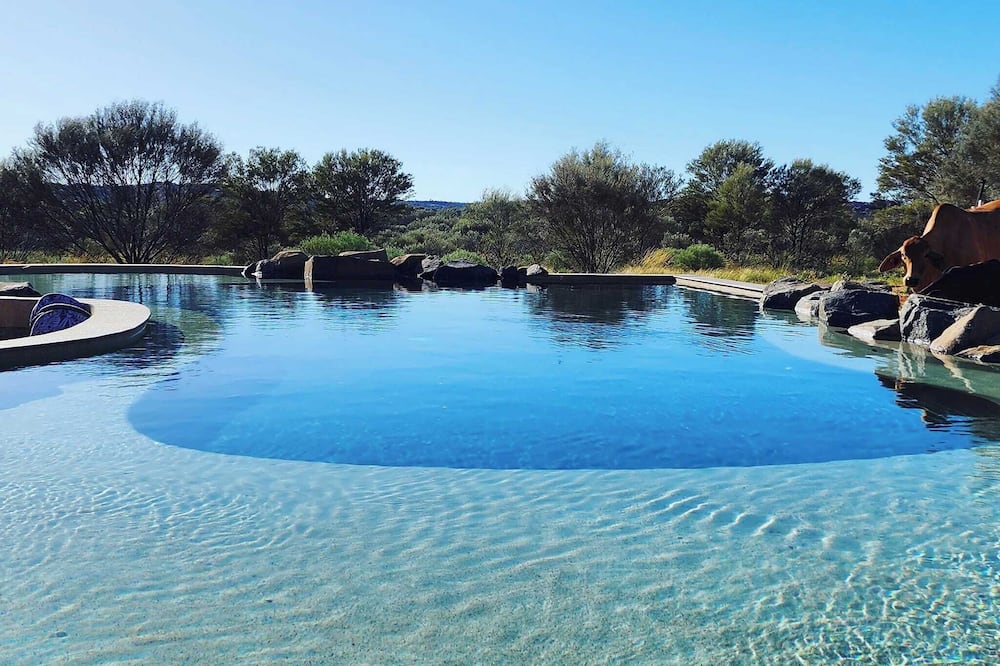 オオラミナ ステーション ホームステッド 写真