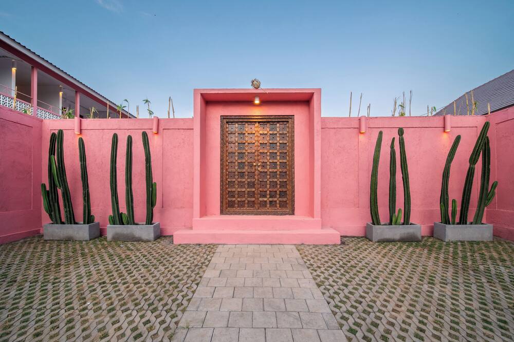 ピンクプライベートバランガン - フォークールアダルトオンリー 写真