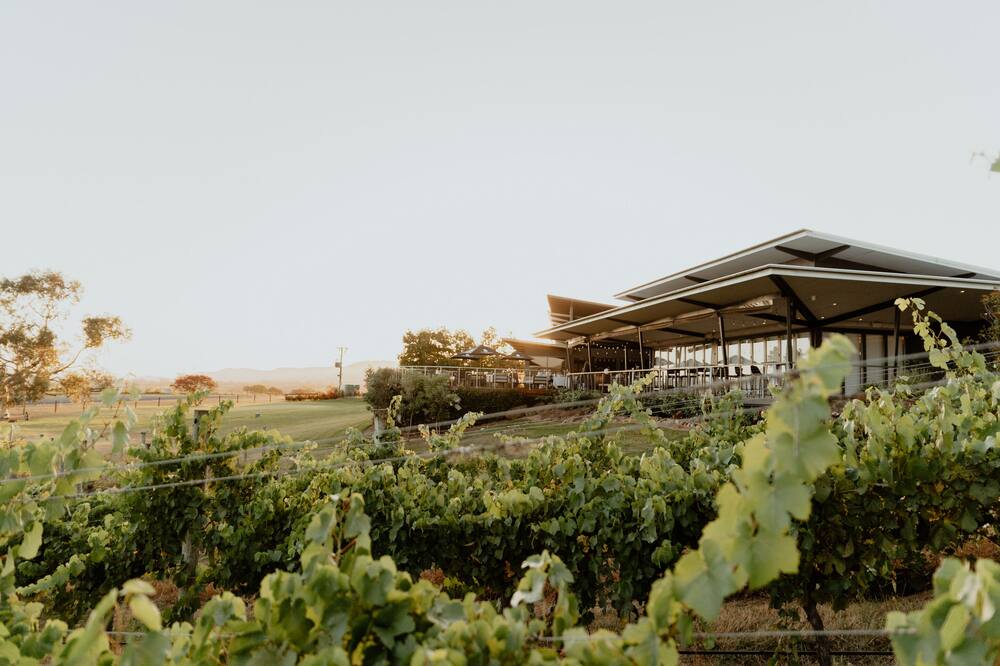 バルゴーニ エステート バインヤード リゾート&スパ 写真