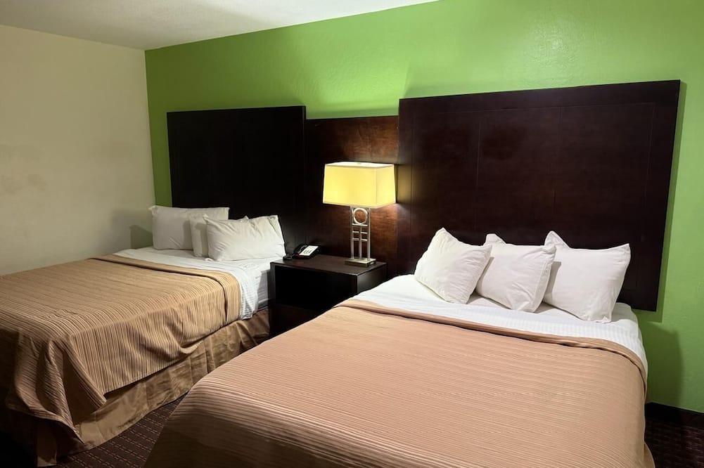 ホリスター イン 写真