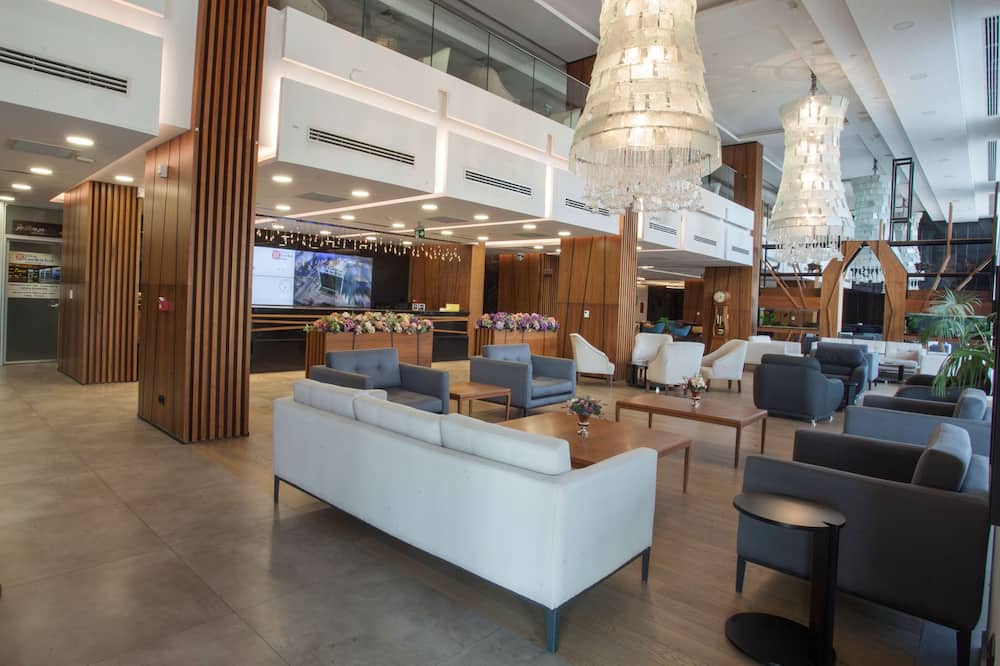 ヒルトン ガーデン イン アンカラ ギマット 写真