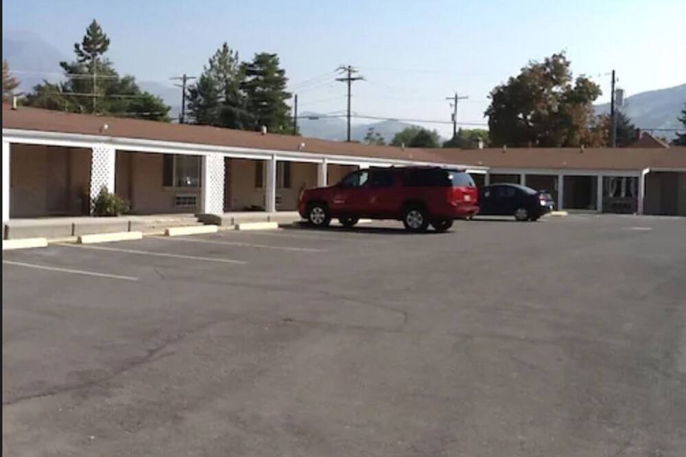 サファリ モーテル 写真