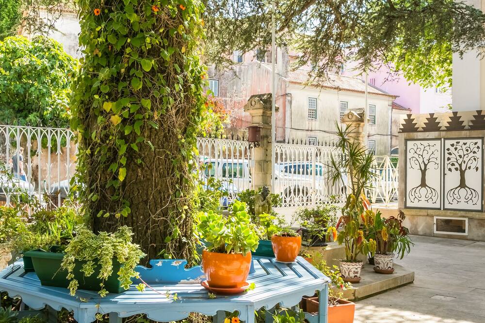 シャレー サウダージ 写真