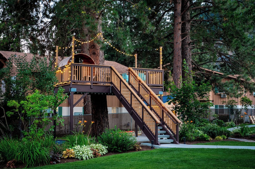 ブルー エルク イン 写真