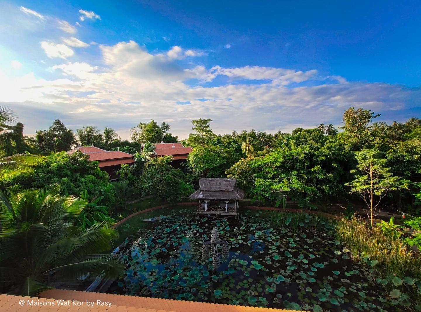 メイソンズ ワット コ 写真