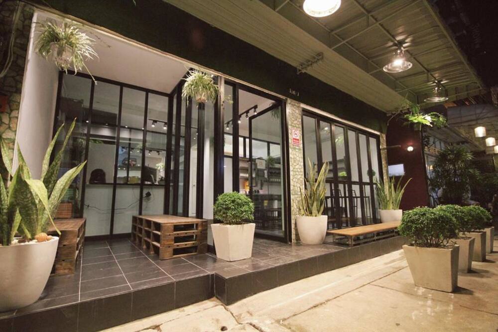 ミント ホステル 写真