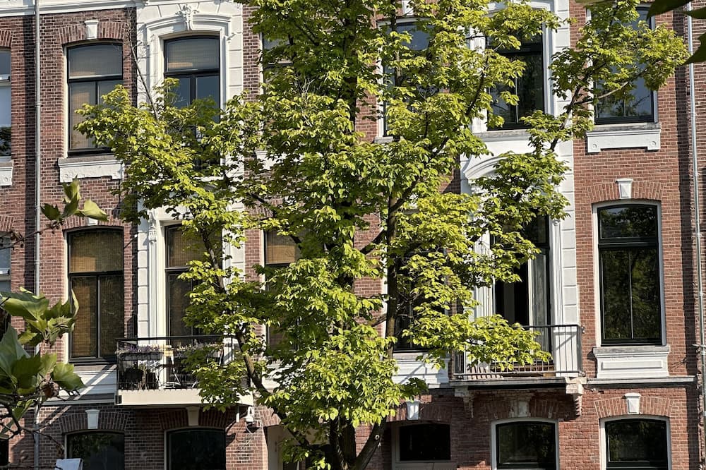 If ブティックホテル 写真