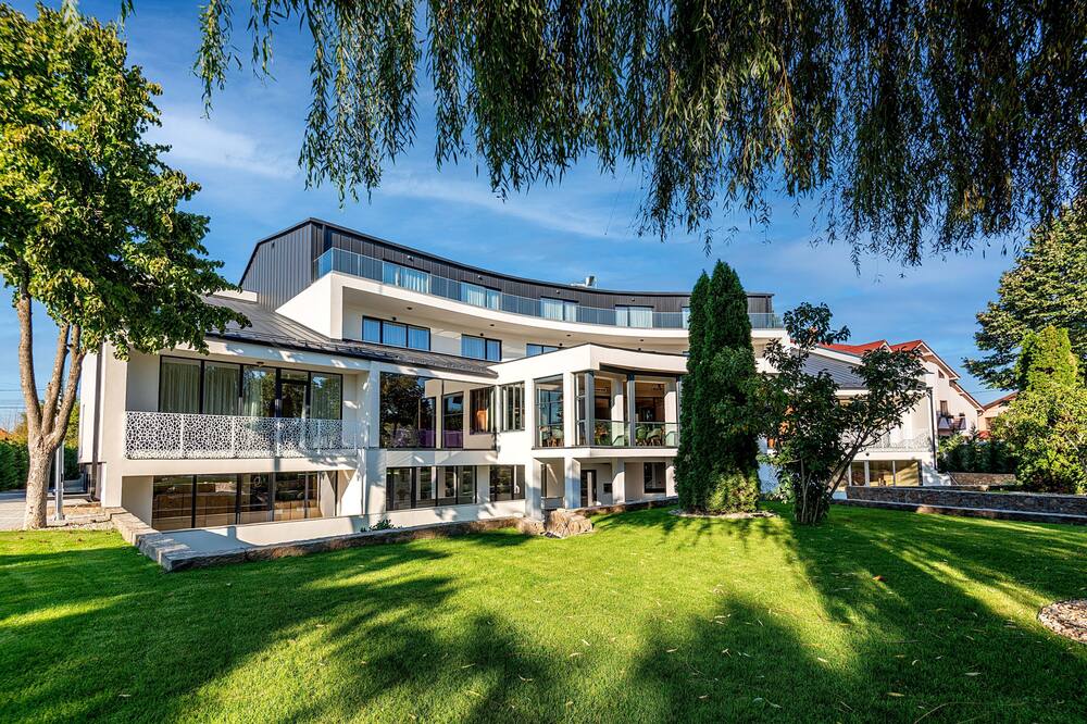 シュタインコレクション 写真