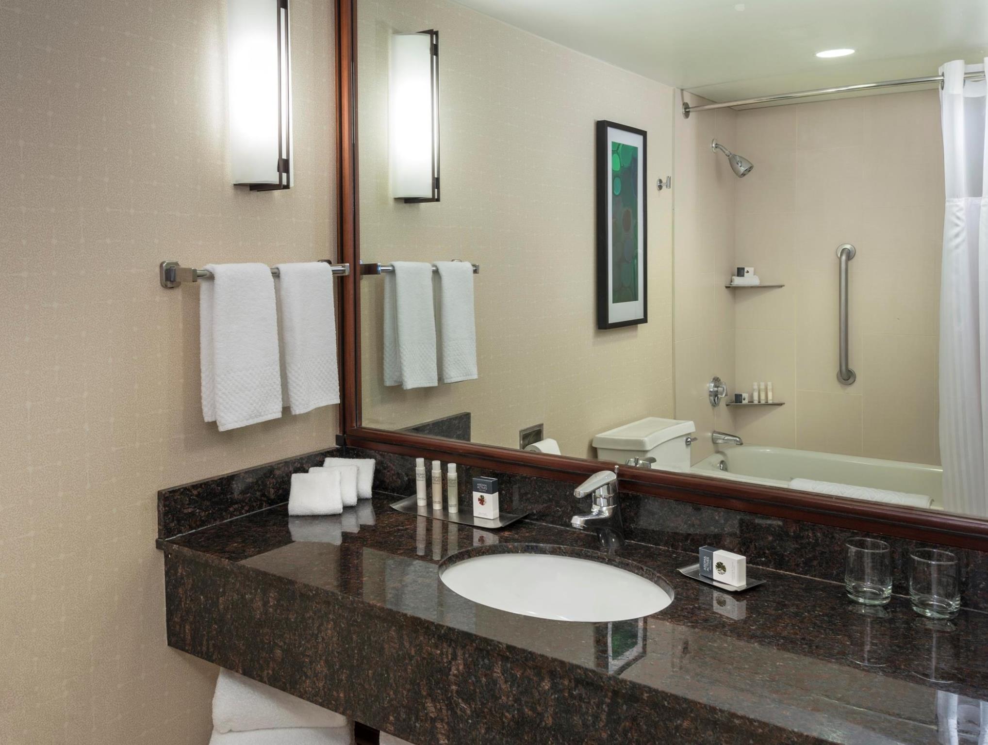 ダブルツリー スイーツ バイ ヒルトン アンド カンファレンス センター シカゴ ダウナーズ グローブ 写真