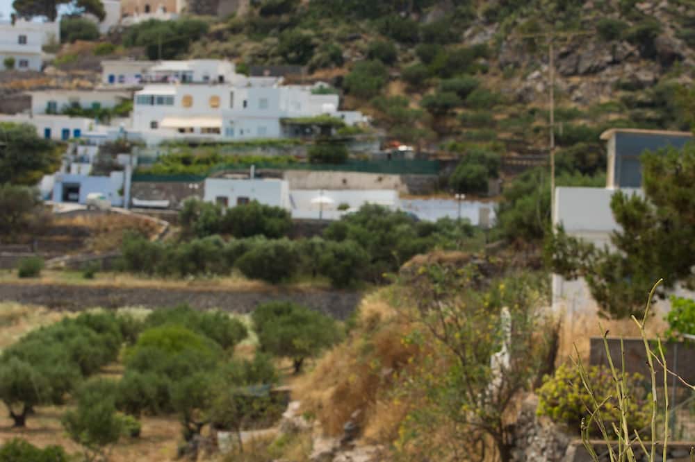 ビベーレ ハウス 写真