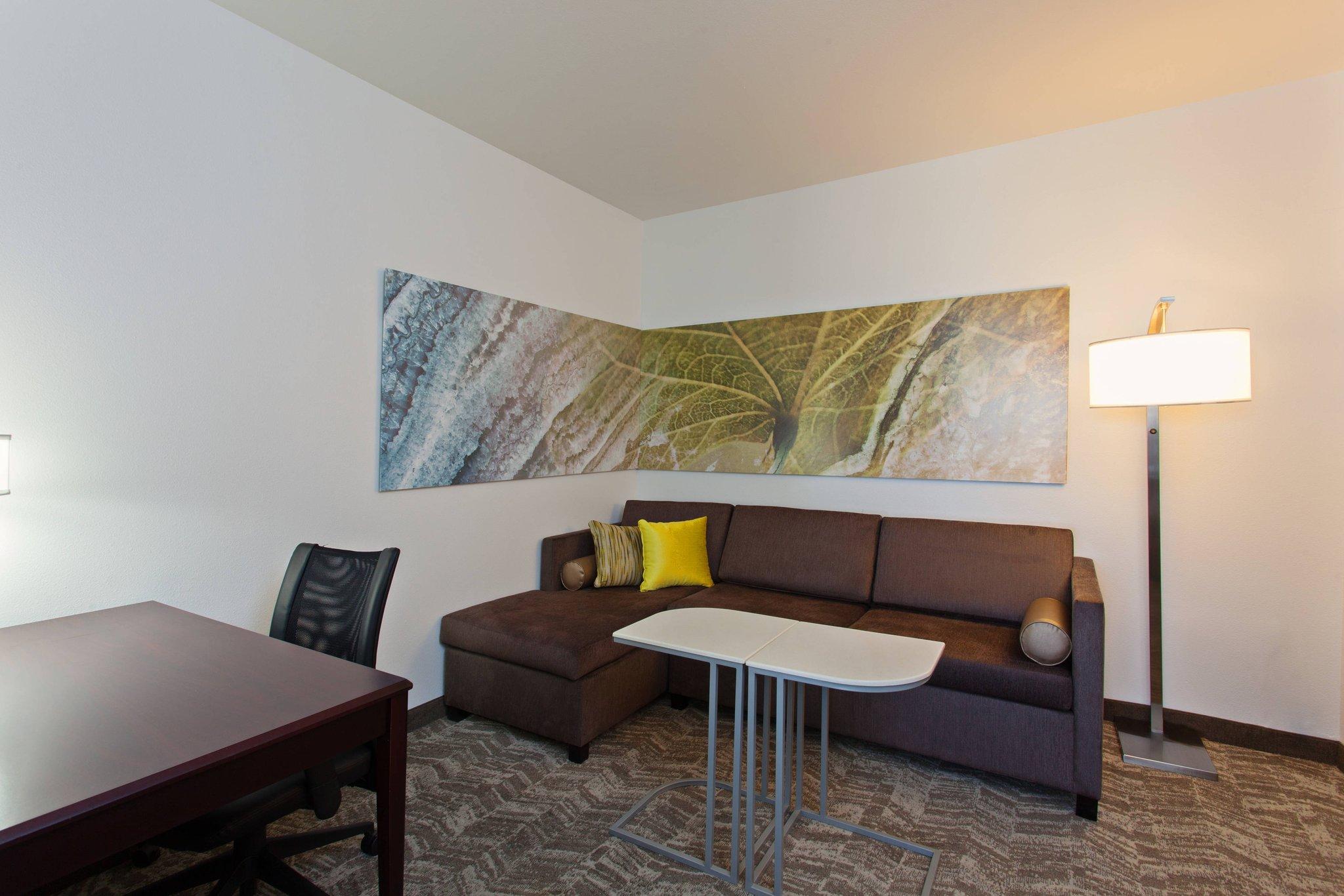 SpringHill Suites by Marriott El Paso 写真