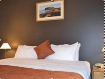 ウェラーズ イン 写真