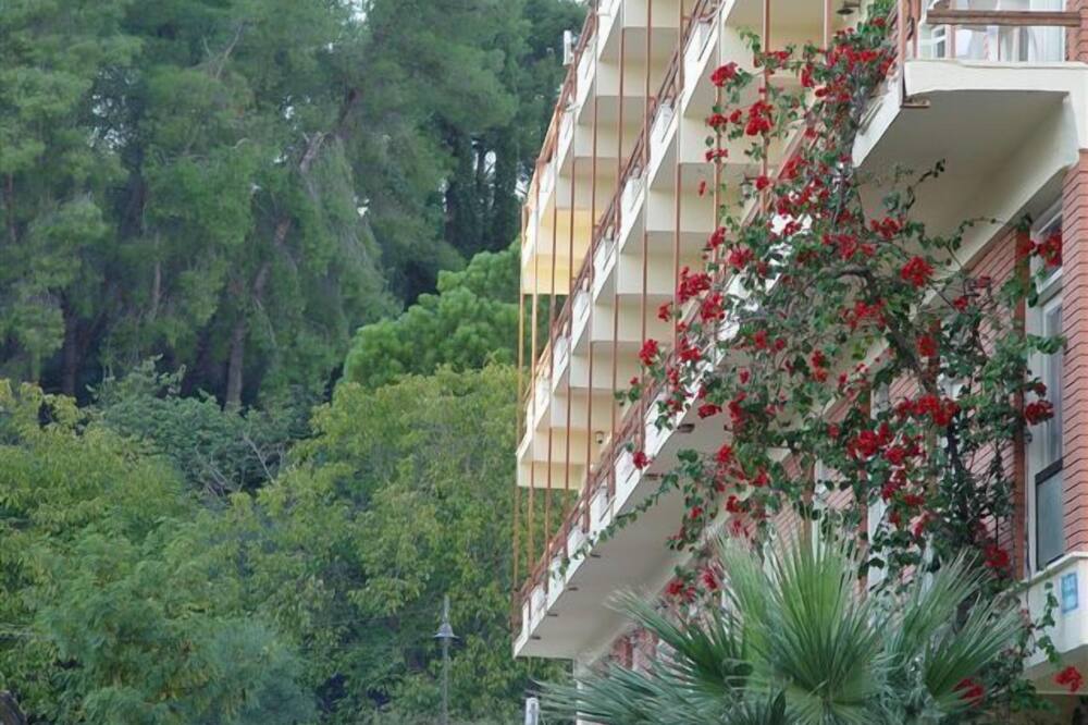 ネダ ホテル 写真