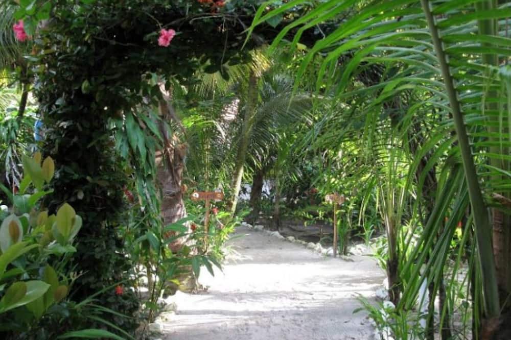 Hotel Salvador Gaviota 写真