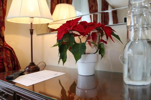 Number 8 The Townhouse 写真