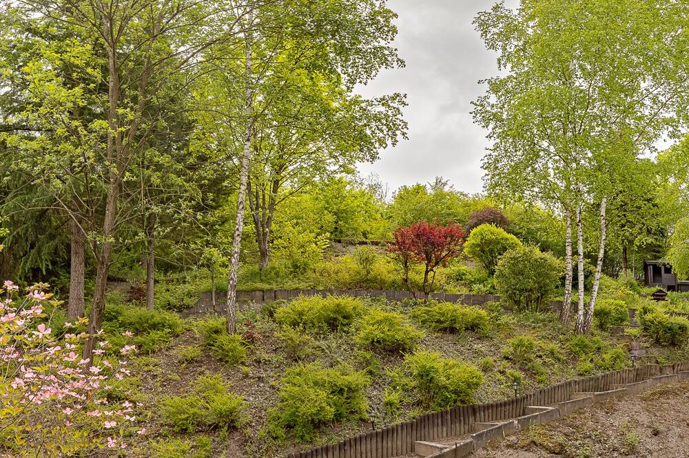 オステルリー ヴァル フルーリ 写真