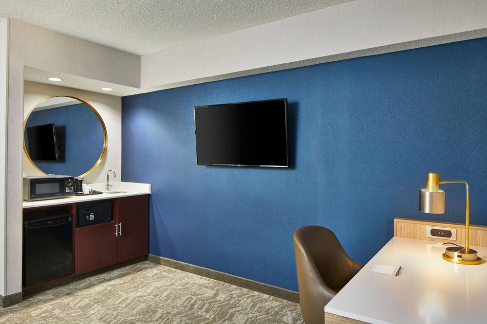 SpringHill Suites by Marriott Memphis Downtown 写真