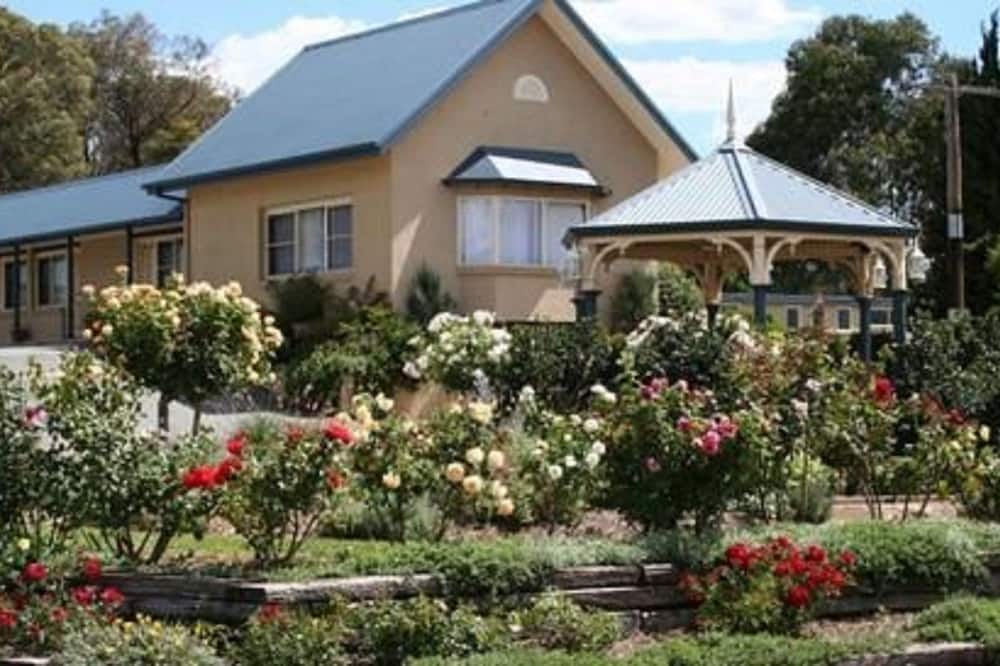 Willows Motel 写真