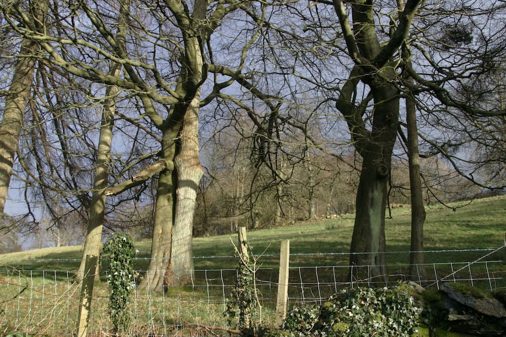 ブレナム ロッジ 写真