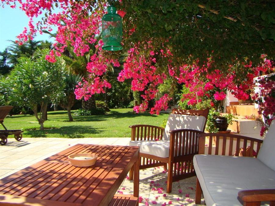 Quinta Verde Sintra - Casa de Campo 写真