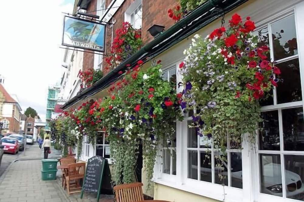 ザ グリーン ドラゴン 写真