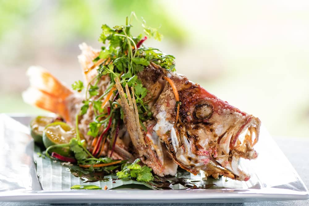 ジーンミシェル クストー リゾート フィジー 写真