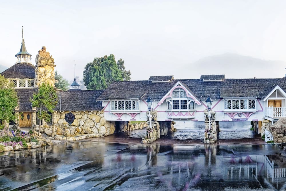 マドンナ イン 写真